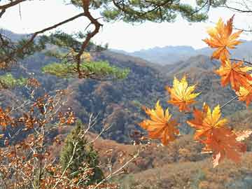 最新信陽(yáng)市委常委名單及其職能概述