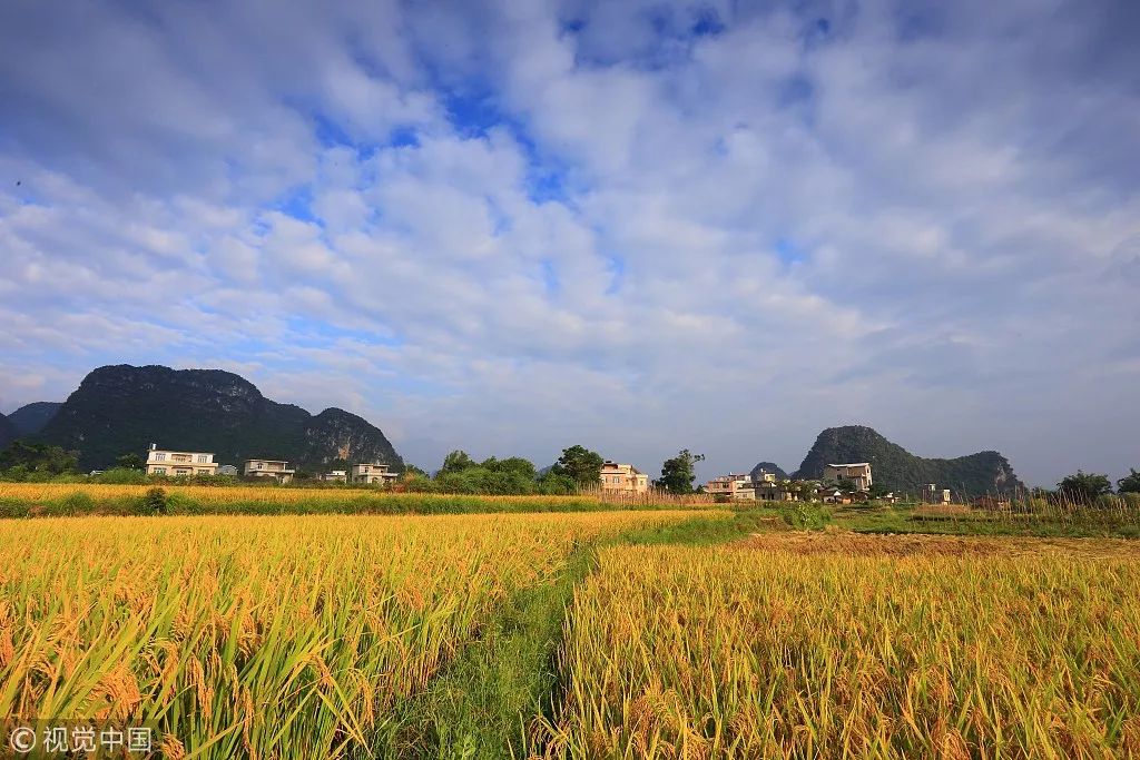 井岡山旅游上市最新動(dòng)態(tài)，發(fā)展機(jī)遇與挑戰(zhàn)并存