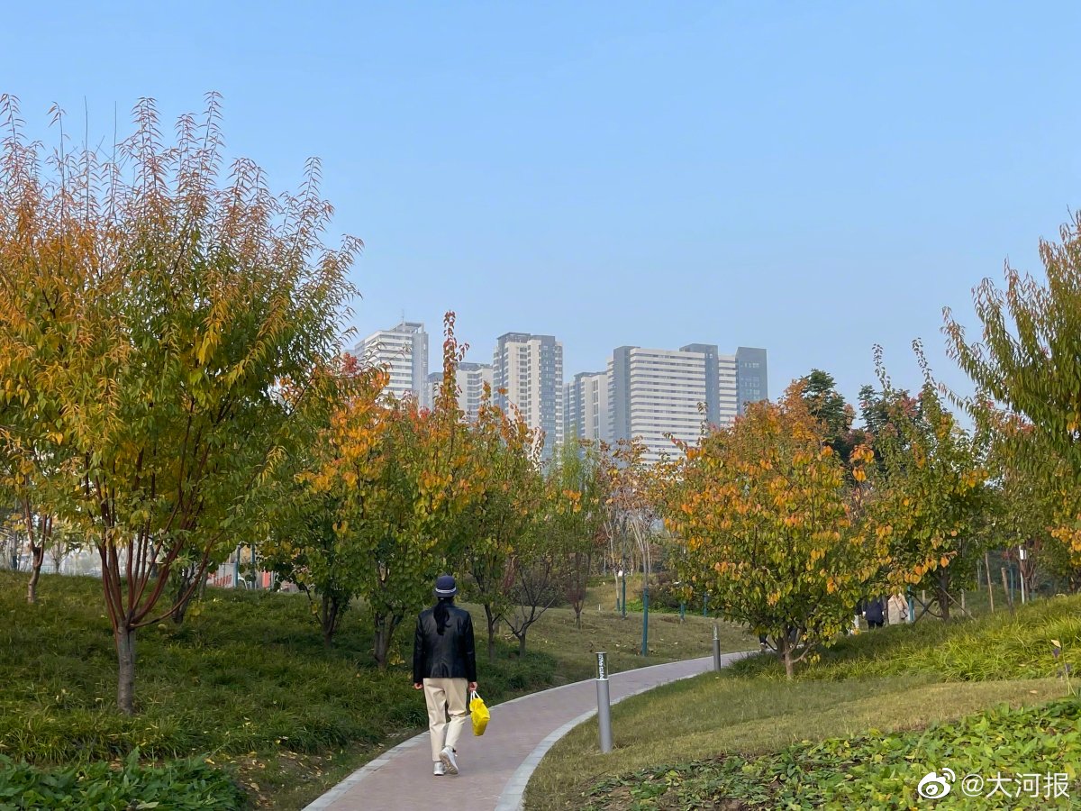 鄭州青少年公園最新情況